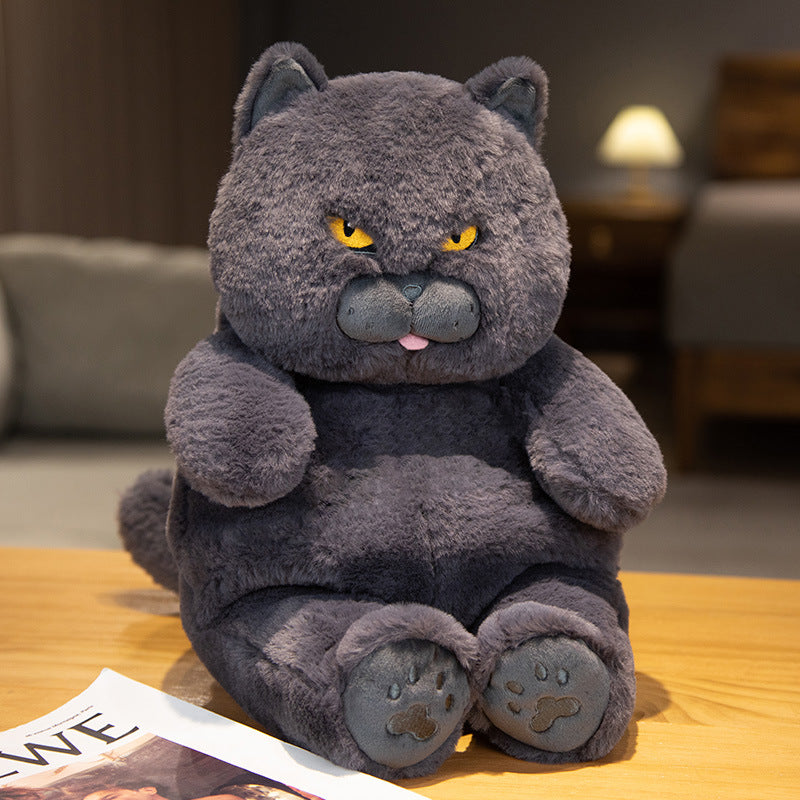 Peluche Chat Douce et Câline pour Enfants